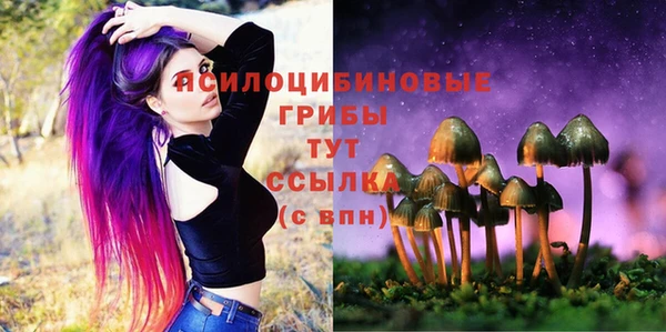 2c-b Абаза